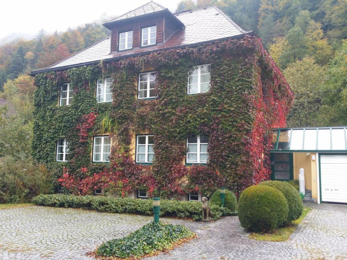 Gaestehaus Grogger Weyer Markt エクステリア 写真