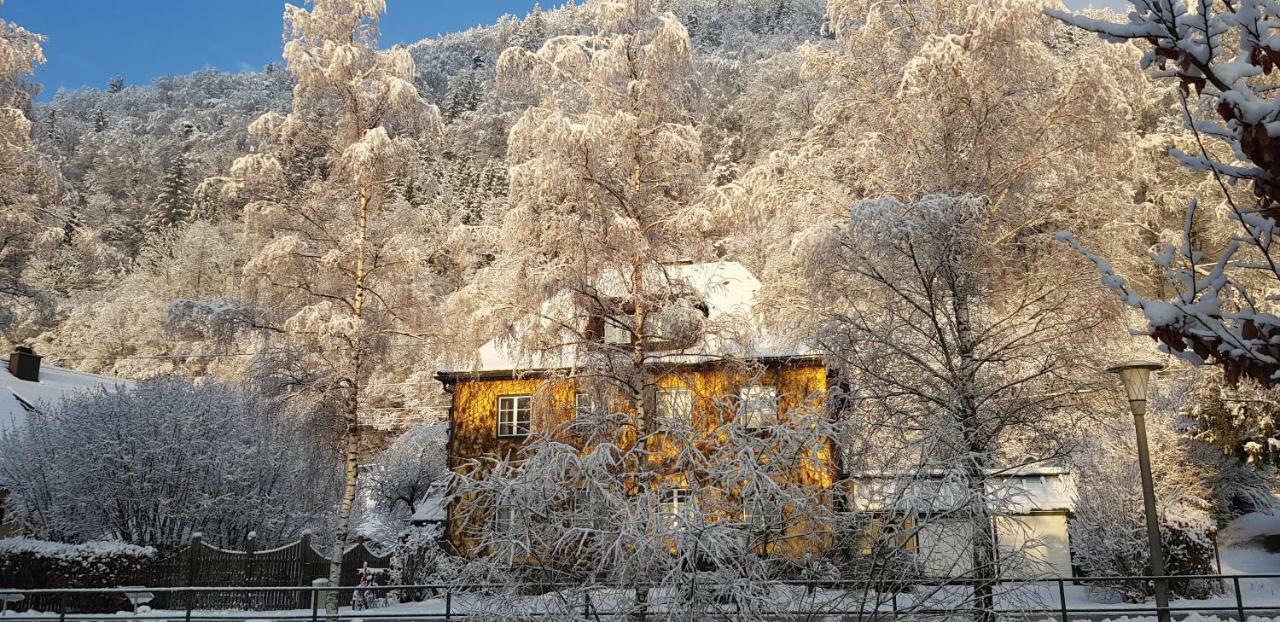 Gaestehaus Grogger Weyer Markt エクステリア 写真